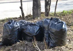 Заказать вывоз мусора
